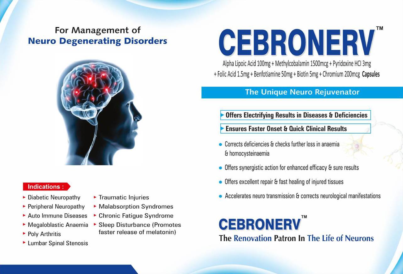 Empowering Mental Wellness,The Cebro Mind Philosophy