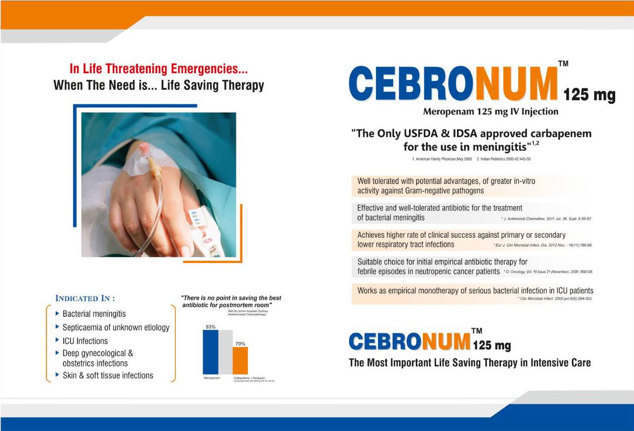 Empowering Mental Wellness,The Cebro Mind Philosophy