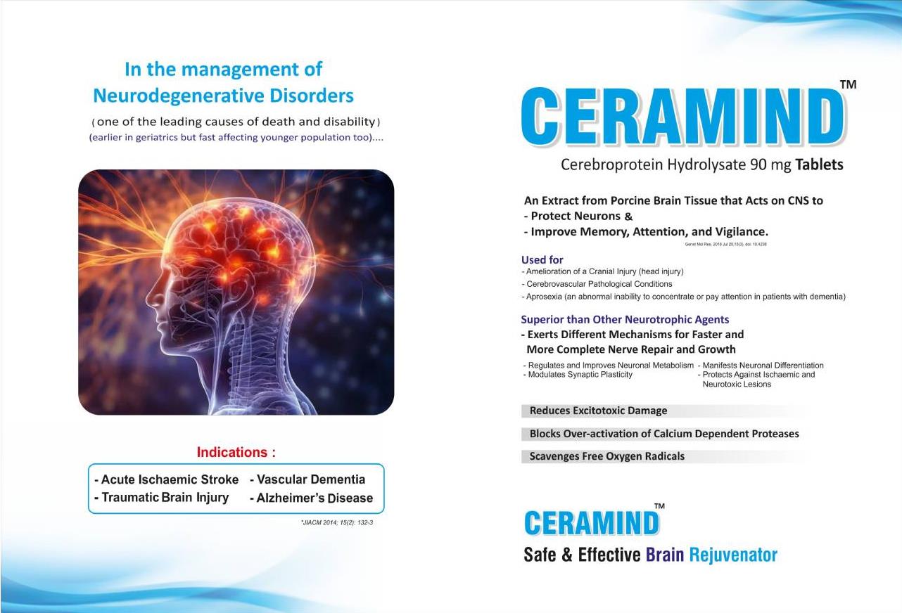 Empowering Mental Wellness,The Cebro Mind Philosophy